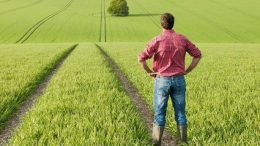 farmer-in-field-photo-juice-rex-shutterstock-615x346 farmer-in-field-photo-juice-rex-shutterstock-615x346