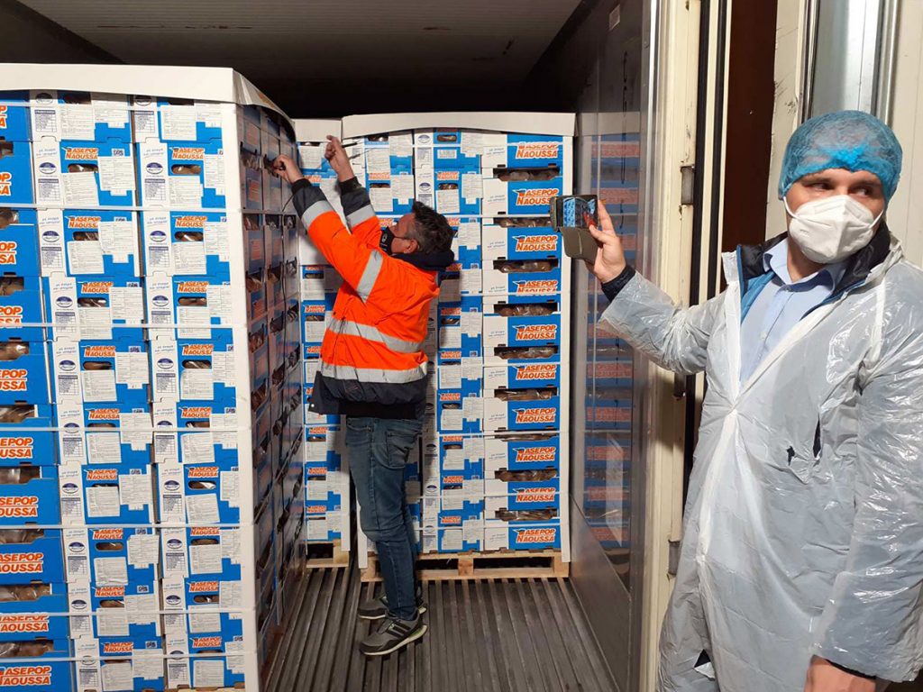 novacert kiwi export 5