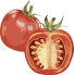 Vector Smart Object