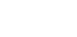 Logo 2 х