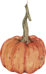 Vector Smart Object