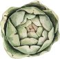 Vector Smart Object