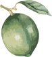 Vector Smart Object
