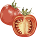 Vector Smart Object