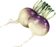Vector Smart Object