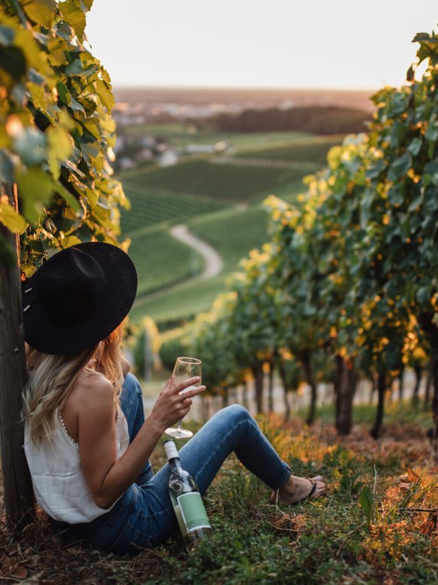 young blonde woman relaxing vineyards summer season with bottle wine