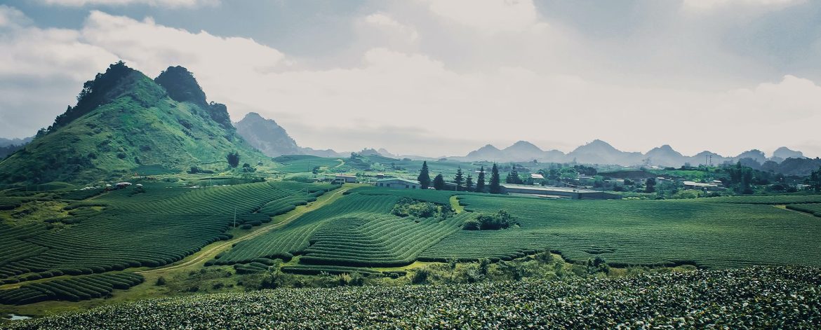 vu viet anh LTyS89HMCCc unsplash vu viet anh LTyS89HMCCc unsplash