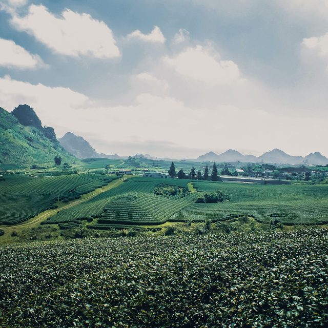 vu viet anh LTyS89HMCCc unsplash