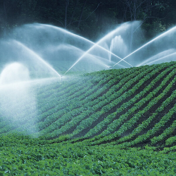 spring water
