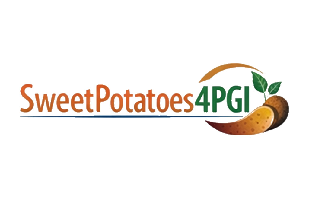 sweetpotato